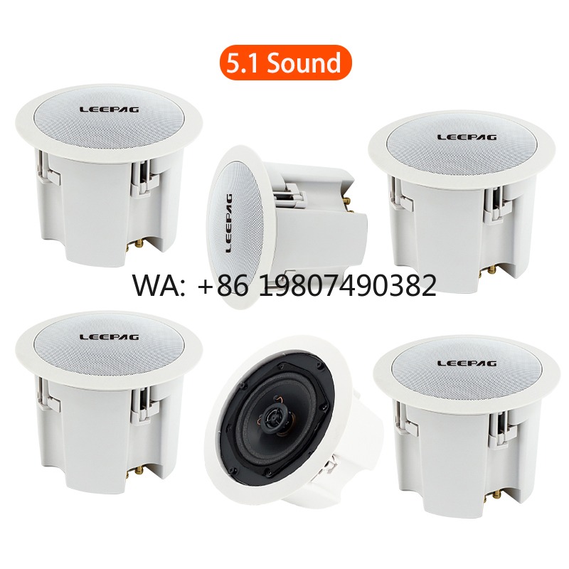 Audio Music For Background - Waterproof WiFi Bluetooth Ceiling Speaker, Wireless