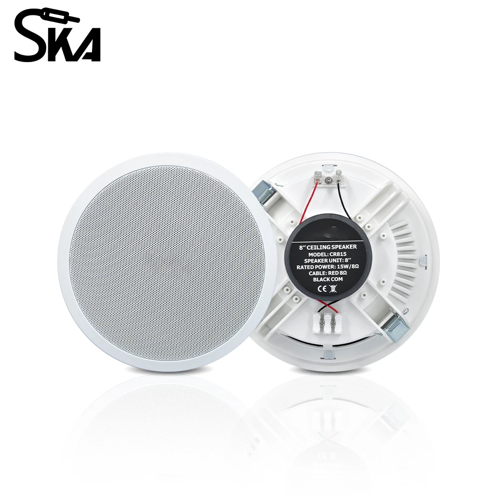 PW4420T+CR815 Smart Home Audio - Audio Music For Background recension och pris