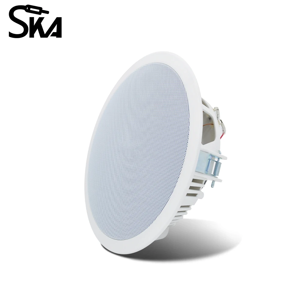 PW4420T+CR815 Smart Home Audio - Audio Music For Background recension och pris