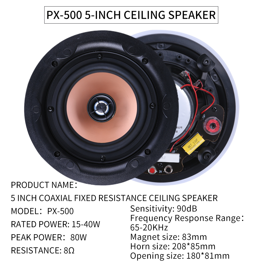 5.1 Home Theater Ceiling Speak - Audio Music For Background recension och pris