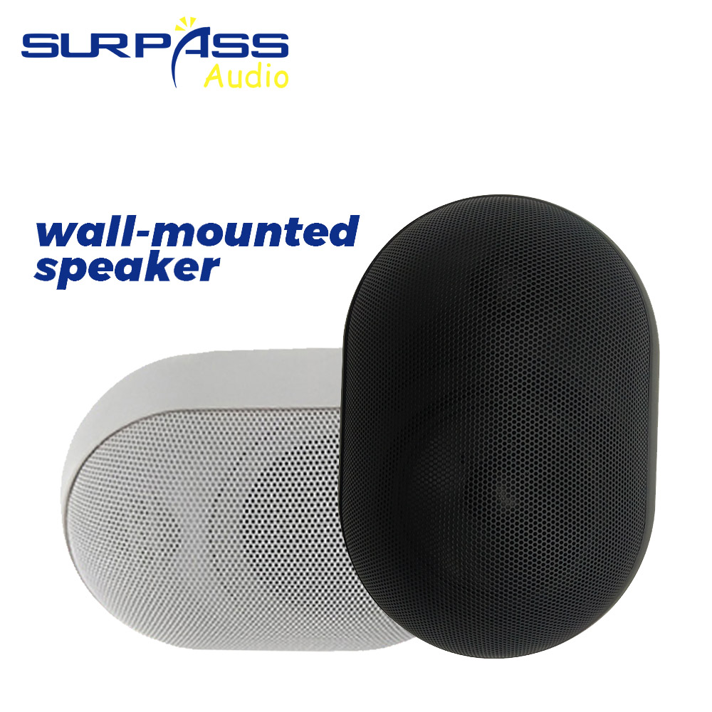 30W Wall-mounted Speaker Water - Audio Music For Background recension och pris