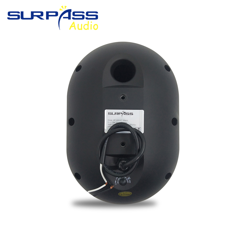 30W Wall-mounted Speaker Water - Audio Music For Background recension och pris